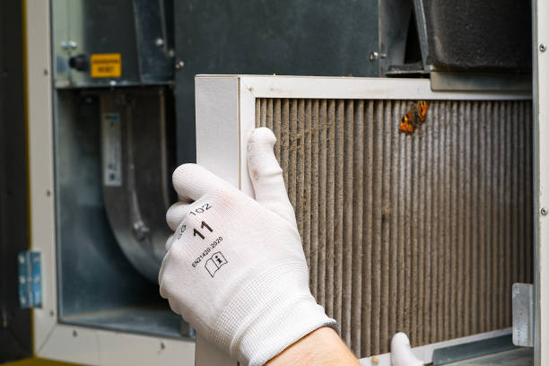 Best Ventilation Cleaning Services  in Cayuga, IN