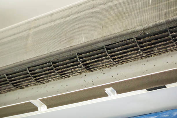 Best Affordable Duct Cleaning Services  in Cayuga, IN